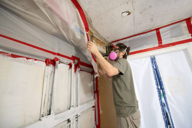 Atascadero, CA Mold Removal Company