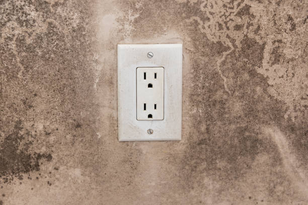 Best Mold Odor Removal Services  in Atasdero, CA