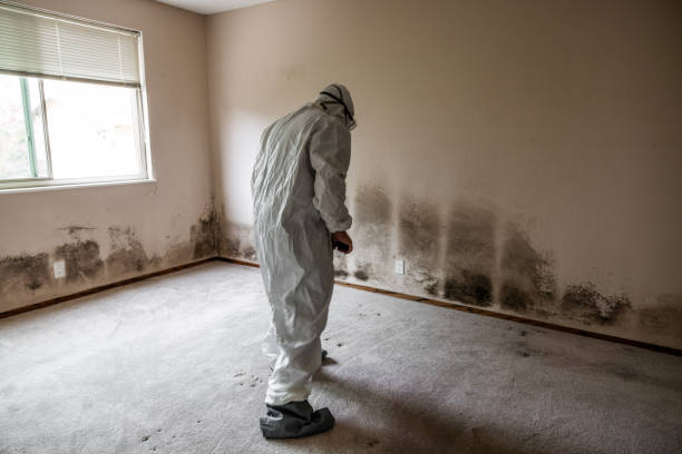 Best Biohazard Mold Removal  in Atasdero, CA